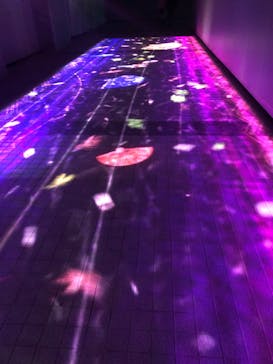 東京メガイルミに投稿された画像（2022/12/13）