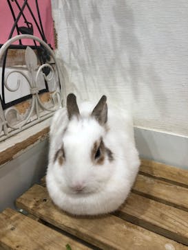 アニタッチみなとみらいに投稿された画像（2022/12/13）