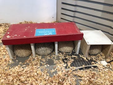 アニタッチみなとみらいに投稿された画像（2022/12/13）