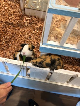 アニタッチみなとみらいに投稿された画像（2022/12/13）