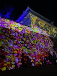 福山城400年博-FUKUYAMA CASTLE EXPO 2022- RCC開局70年 「チームラボ 福山城 光の祭」に投稿された画像（2022/12/13）