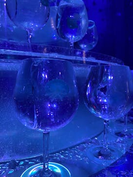 新江ノ島水族館に投稿された画像（2022/12/13）