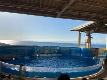 新江ノ島水族館に投稿された画像（2022/12/13）