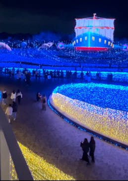 なばなの里に投稿された画像（2022/12/13）