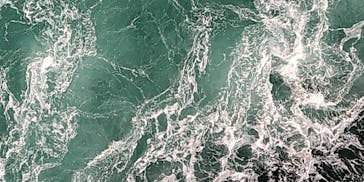 徳島県立 渦の道に投稿された画像（2022/12/13）