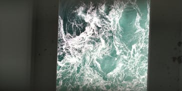 徳島県立 渦の道に投稿された画像（2022/12/13）