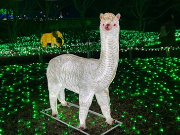 さがみ湖MORI MORIに投稿された画像（2022/12/13）