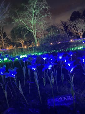 大阪府立花の文化園に投稿された画像（2022/12/13）