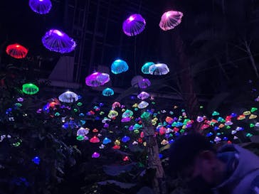 大阪府立花の文化園に投稿された画像（2022/12/13）