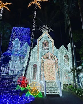 美らヤシパークオキナワ・東南植物楽園に投稿された画像（2022/12/13）