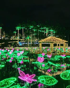 美らヤシパークオキナワ・東南植物楽園に投稿された画像（2022/12/13）