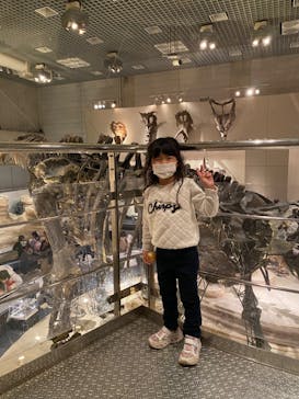 国立科学博物館に投稿された画像（2022/12/13）