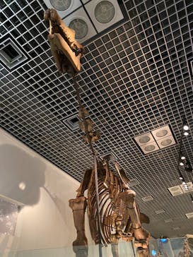 国立科学博物館に投稿された画像（2022/12/13）