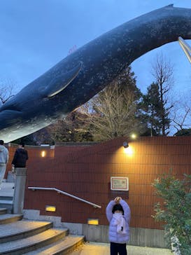 国立科学博物館に投稿された画像（2022/12/13）