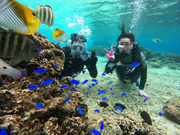 武藤潜水に投稿された画像（2022/12/14）