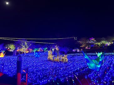 伊豆ぐらんぱる公園に投稿された画像（2022/12/14）