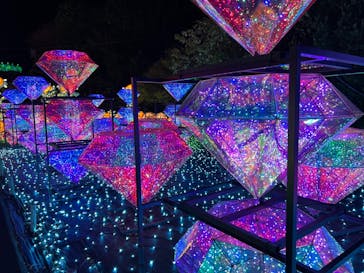 伊豆ぐらんぱる公園に投稿された画像（2022/12/14）