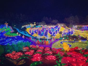 伊豆ぐらんぱる公園に投稿された画像（2022/12/14）