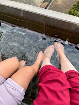 彫刻の森美術館に投稿された画像（2022/12/14）