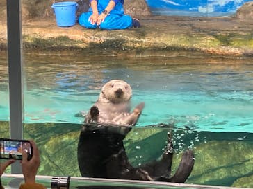 マリンワールド海の中道に投稿された画像（2022/12/14）