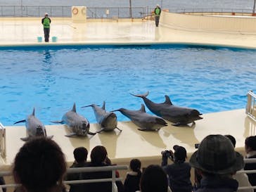 マリンワールド海の中道に投稿された画像（2022/12/14）