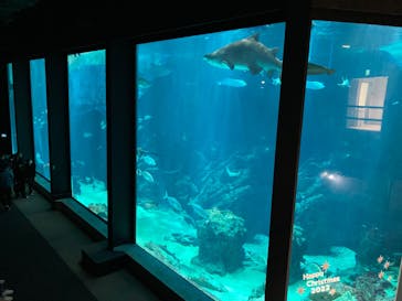 マリンワールド海の中道に投稿された画像（2022/12/14）