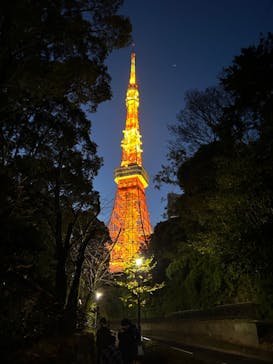 東京タワーに投稿された画像（2022/12/14）