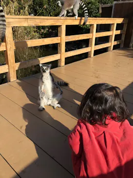 神戸どうぶつ王国に投稿された画像（2022/12/14）