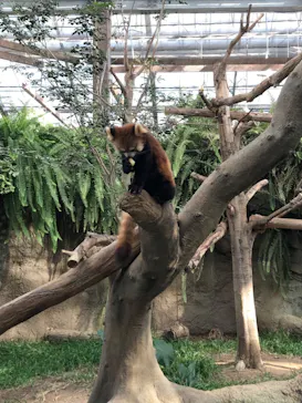 神戸どうぶつ王国に投稿された画像（2022/12/14）