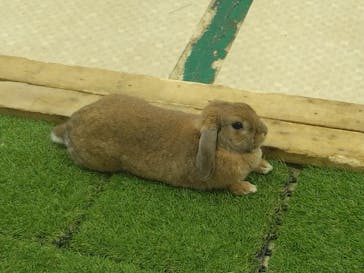 東京あそびマーレに投稿された画像（2022/12/14）