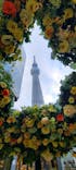 東京スカイツリーに投稿された画像（2022/12/14）