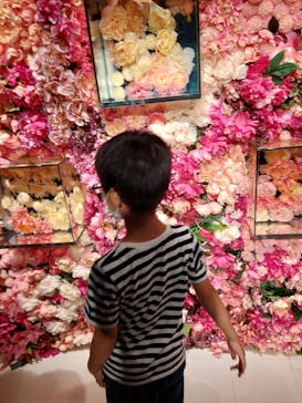 NARA KINGYO MUSEUMに投稿された画像（2022/12/14）