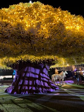 東京メガイルミに投稿された画像（2022/12/14）