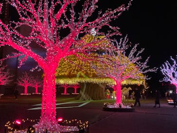 東京メガイルミに投稿された画像（2022/12/14）