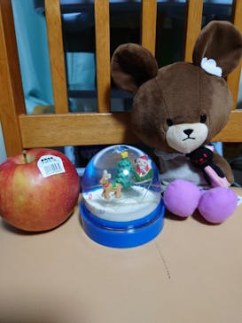 安城産業文化公園デンパークに投稿された画像（2022/12/14）