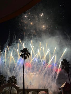 レオマリゾートに投稿された画像（2022/12/14）