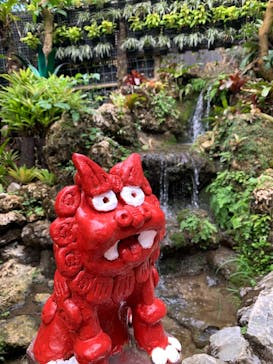 ナゴパイナップルパークに投稿された画像（2022/12/14）