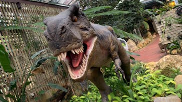 ナゴパイナップルパークに投稿された画像（2022/12/14）