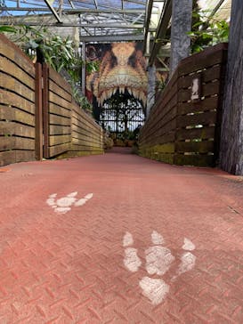 ナゴパイナップルパークに投稿された画像（2022/12/14）