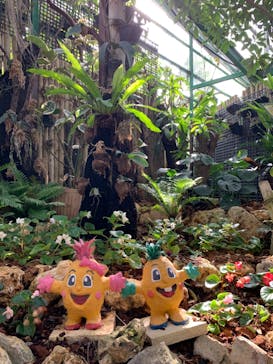 ナゴパイナップルパークに投稿された画像（2022/12/14）