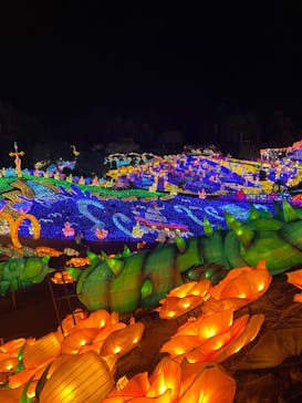 伊豆ぐらんぱる公園に投稿された画像（2022/12/14）