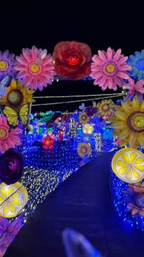 伊豆ぐらんぱる公園に投稿された画像（2022/12/14）