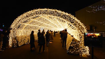 東京メガイルミに投稿された画像（2022/12/14）