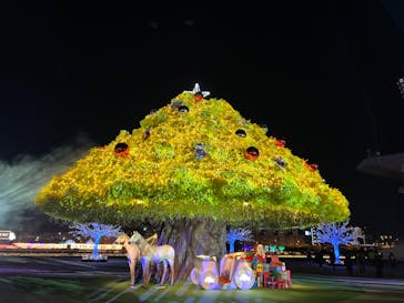 東京メガイルミに投稿された画像（2022/12/15）