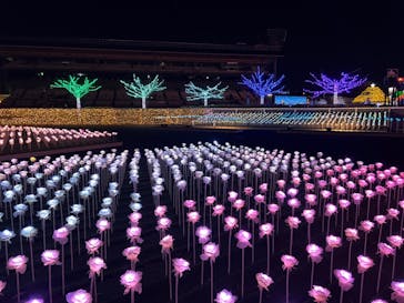 東京メガイルミに投稿された画像（2022/12/15）