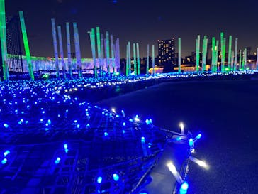 東京メガイルミに投稿された画像（2022/12/15）