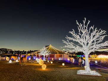東京メガイルミに投稿された画像（2022/12/15）