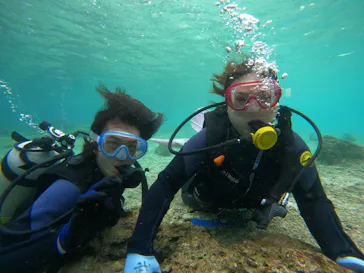 武藤潜水に投稿された画像（2022/12/15）