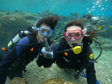 武藤潜水に投稿された画像（2022/12/15）