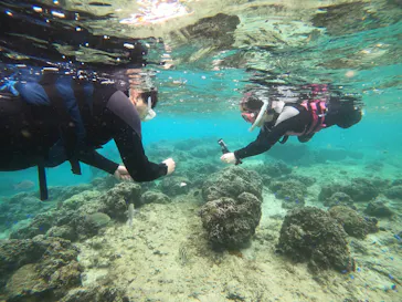 武藤潜水に投稿された画像（2022/12/15）